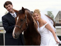 svadba a kone