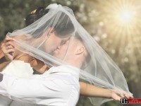 top svadby roku 2012, najlepsie zabery fotografie roku 2012